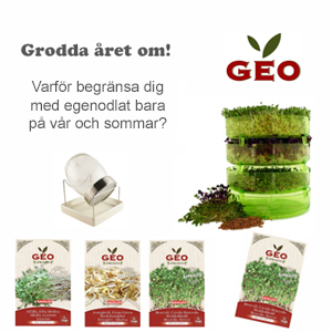 Grodda frö och bönor